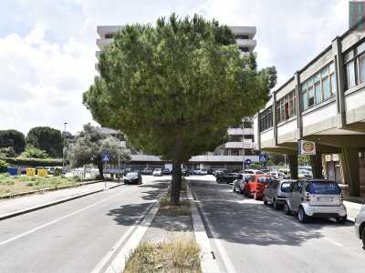 Proseguiamo a questo punto per via Carrante: una strada che accanto all�omonima scuola e a palazzi a sette piani con porticati ospita tutt�attorno aree incolte, abbandonate a loro stesse, paradiso dei cani che qui possono scorazzare liberamente
